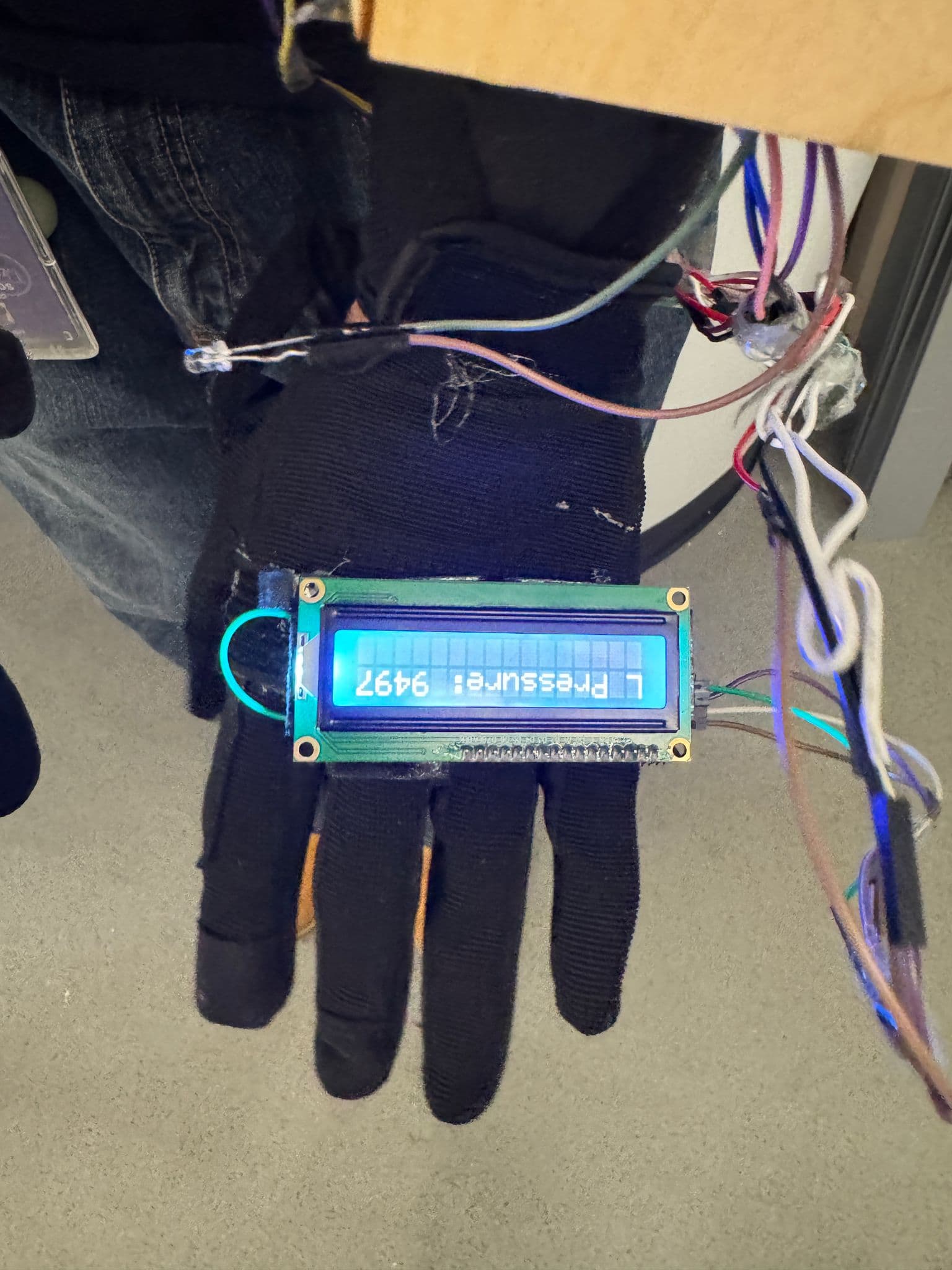 Front View of a Single Glove